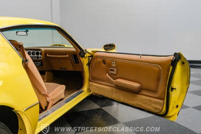 1979 Pontiac Firebird Trans Am