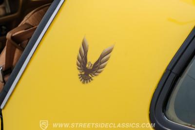 1979 Pontiac Firebird Trans Am