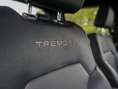 2024 Ford 2.0 TD EcoBlue Tremor Auto 4WD Euro 6 (s/s) 4dr
