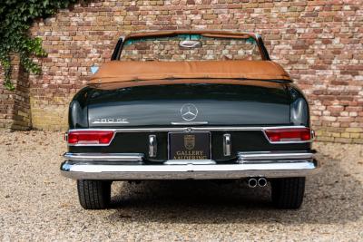 1969 Mercedes - Benz Mercedes Benz 280 SE Cabriolet &ldquo;Dunkeloliv or Dark Olive&rdquo;