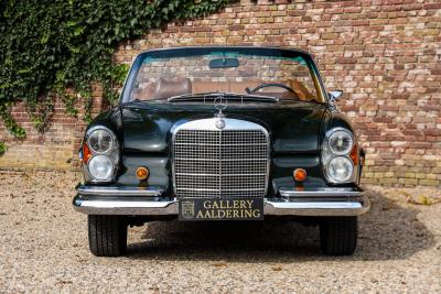 1969 Mercedes - Benz Mercedes Benz 280 SE Cabriolet &ldquo;Dunkeloliv or Dark Olive&rdquo;
