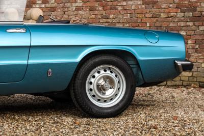1981 Alfa Romeo Spider 2000 Coda Tronca &ldquo;Most Beautiful Blue&rdquo;