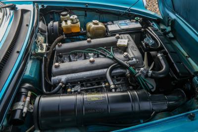 1981 Alfa Romeo Spider 2000 Coda Tronca &ldquo;Most Beautiful Blue&rdquo;