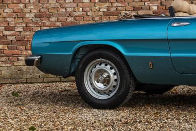 1981 Alfa Romeo Spider 2000 Coda Tronca &ldquo;Most Beautiful Blue&rdquo;