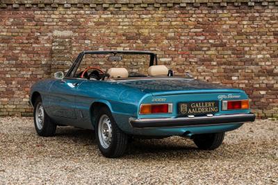1981 Alfa Romeo Spider 2000 Coda Tronca &ldquo;Most Beautiful Blue&rdquo;
