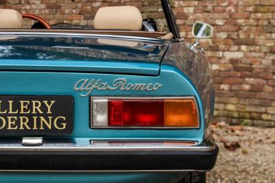 1981 Alfa Romeo Spider 2000 Coda Tronca &ldquo;Most Beautiful Blue&rdquo;