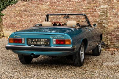 1981 Alfa Romeo Spider 2000 Coda Tronca &ldquo;Most Beautiful Blue&rdquo;