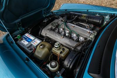 1981 Alfa Romeo Spider 2000 Coda Tronca &ldquo;Most Beautiful Blue&rdquo;