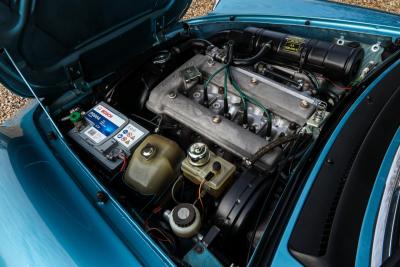 1981 Alfa Romeo Spider 2000 Coda Tronca &ldquo;Most Beautiful Blue&rdquo;