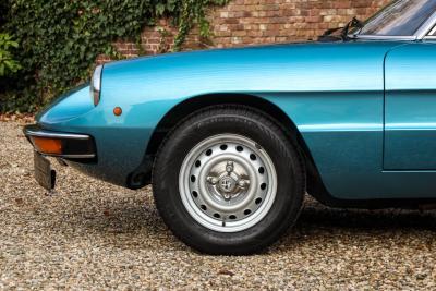 1981 Alfa Romeo Spider 2000 Coda Tronca &ldquo;Most Beautiful Blue&rdquo;