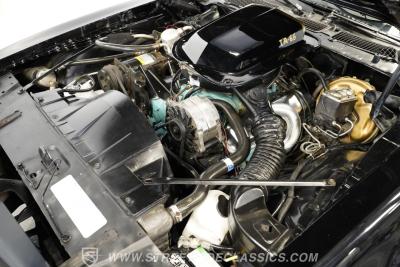 1978 Pontiac Firebird Trans Am