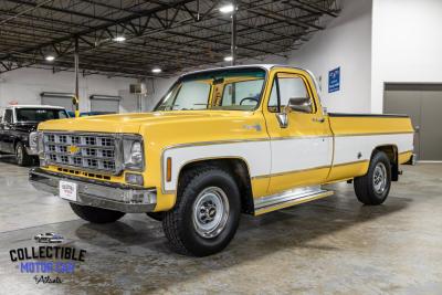 1977 Chevrolet C20