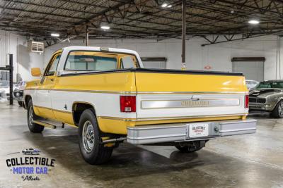 1977 Chevrolet C20
