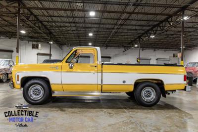 1977 Chevrolet C20