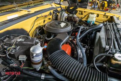 1977 Chevrolet C20