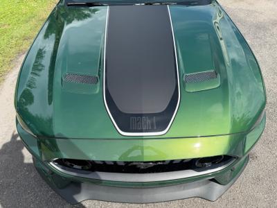 2023 Ford Mustang Mach 1