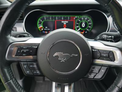 2023 Ford Mustang Mach 1