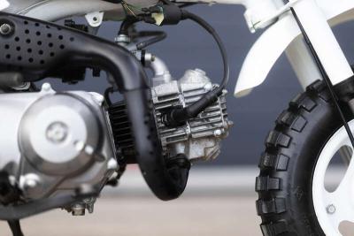 1998 Honda Z50R MONKEY BIKE