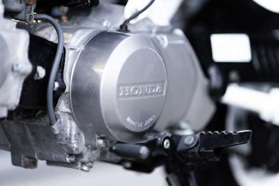 1998 Honda Z50R MONKEY BIKE