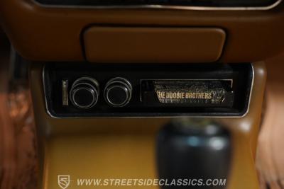 1977 Pontiac Firebird Trans Am Y82 Special Edition