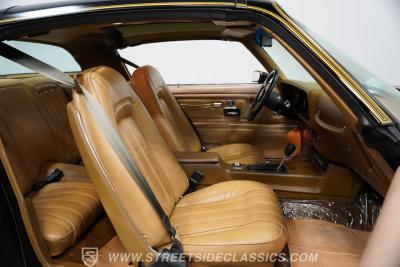 1977 Pontiac Firebird Trans Am Y82 Special Edition