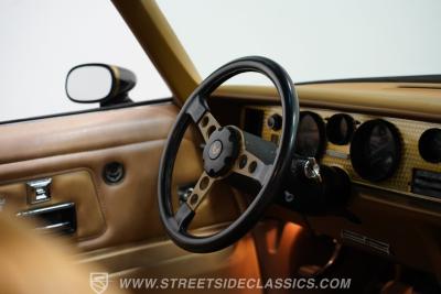 1977 Pontiac Firebird Trans Am Y82 Special Edition