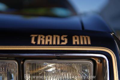 1977 Pontiac Firebird Trans Am Y82 Special Edition