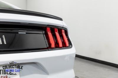 2021 Ford Mustang Mach 1