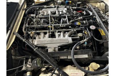 1990 Jaguar XJS V12