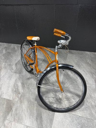 1967 Schwinn Typhoon