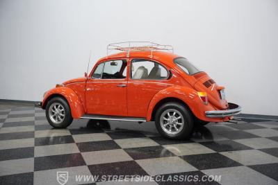 1973 Volkswagen Beetle