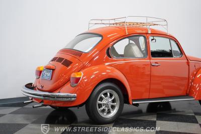 1973 Volkswagen Beetle