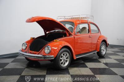 1973 Volkswagen Beetle