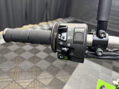 2023 Kawasaki KLX 230 S
