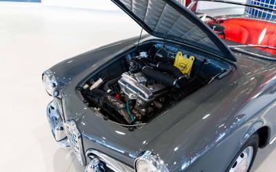 1963 Alfa Romeo Giulia Spider