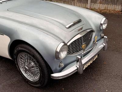 1960 Austin - Healey 3000