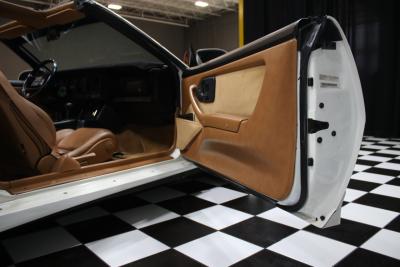 1989 Pontiac Firebird