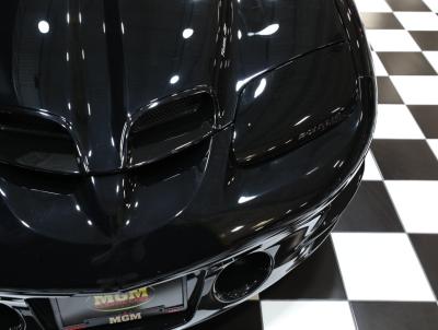 1999 Pontiac Firebird
