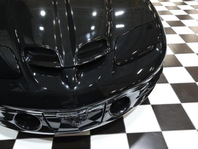 1999 Pontiac Firebird