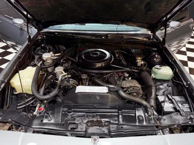 1986 Oldsmobile Cutlass Supreme