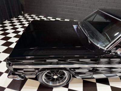 1966 Plymouth Belvedere