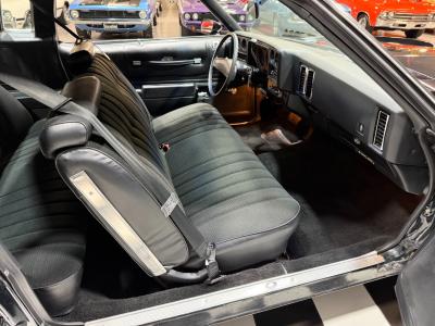 1976 Chevrolet Monte Carlo