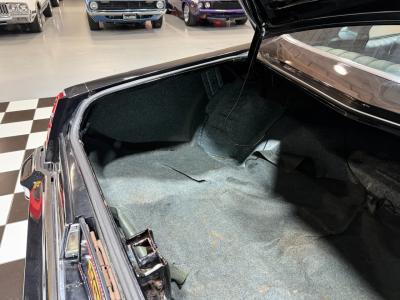 1976 Chevrolet Monte Carlo