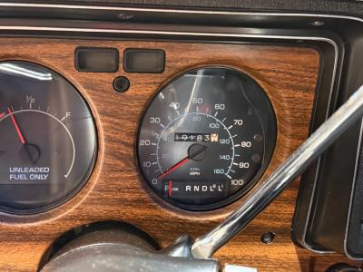 1976 Chevrolet Monte Carlo