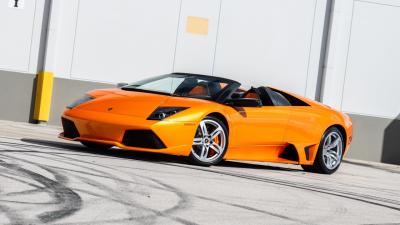 2008 Lamborghini Murci&eacute;lago LP640-4 Roadster