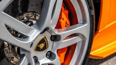 2008 Lamborghini Murci&eacute;lago LP640-4 Roadster