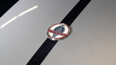 1965 Shelby 427 S/C Cobra Carbon Fiber Continuation