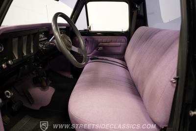 1977 Ford F-100
