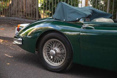 1954 Jaguar XK150