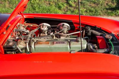 1962 Austin - Healey 3000